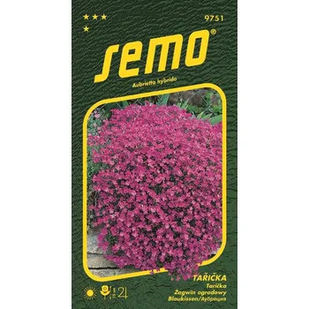 Semeno TAŘIČKA - LEICHTLINII / Aubrietta hybrida