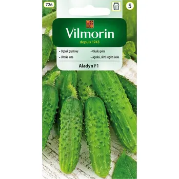 Semeno OKURKA NAKLÁDAČKA - ALADYN F1 hruboostná / Cucumis sativus L.