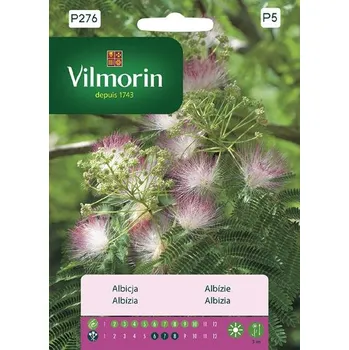 Semeno ALBÍZIE - HEDBÁVNÝ STROM / Albizia julibrissin