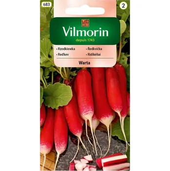 Semeno ŘEDKVIČKA - WARTA / Raphanus sativus L. var. radicula Pers.