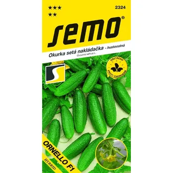 Semeno OKURKA NAKLÁDAČKA - ORNELLO F1 hustoostná / Cucumis sativus L.