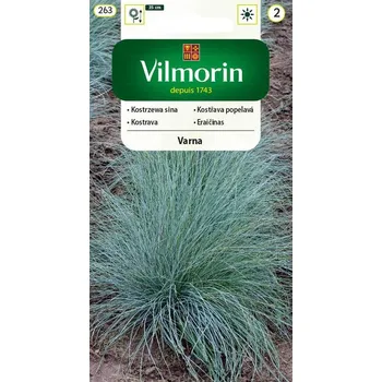 Semeno KOSTŘAVA POPELAVÁ - VARNA / Festuca cinerea