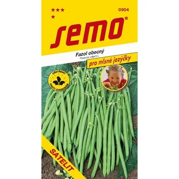 Semeno FAZOL KEŘÍČKOVÝ - FLEURET (MASCARED) / Phaseolus vulgaris L.