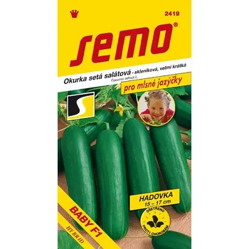 Semeno OKURKA SALÁTOVÁ - BABY F1 skleníková 15 cm / Cucumis sativus L.