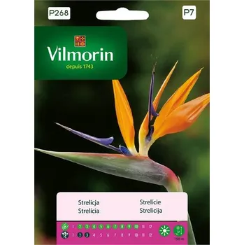 Semeno STRELÍCIE / Strelitzia reginae