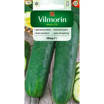 Semeno OKURKA SALÁTOVÁ POLNÍ - OLIMP F1 / Cucumis sativus L.