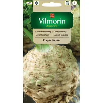 Semeno CELER BULVOVÝ - PRAGER RIESEN / Apium graveolens L. var. rapaceum