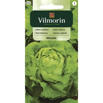 Semeno SALÁT HLÁVKOVÝ - ATTRACTION celoroční / Lactuca sativa L.