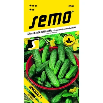 Semeno OKURKA NAKLÁDAČKA - SONADA F1 hustoostná / Cucumis sativus L.