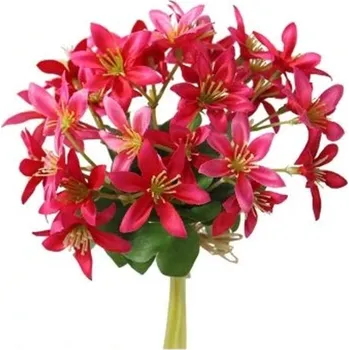 Sazenice UMĚLÉ KVĚTINY - KLEMATIS TMAVĚ RŮŽOVÝ SVAZEK