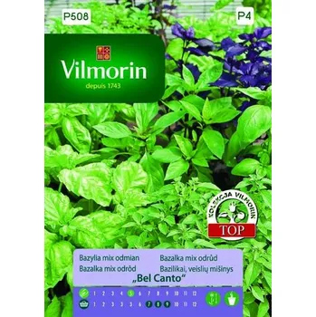 Semeno BAZALKA PRAVÁ - BEL CANTO - SMĚS ODRŮD / Ocimum basilicum L.