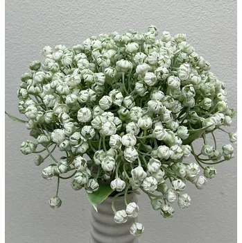 Sazenice UMĚLÉ KVĚTINY - GYPSOPHILLA KYTICE PLAST