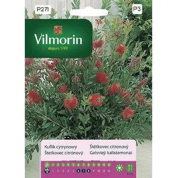 Semeno ŠTĚTKOVEC CITRÓNOVÝ / Callistemon citrinus