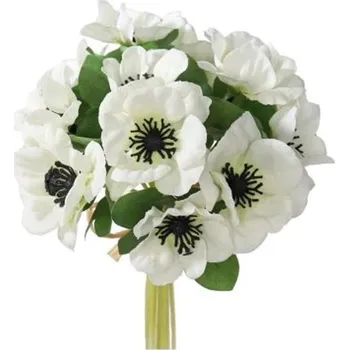 Sazenice UMĚLÉ KVĚTINY - AMENONKA BÍLÁ SVAZEK