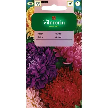 Semeno ASTRA ČÍNSKÁ - PIVOŇKOVITÁ SMĚS BAREV / Callistephus chinensis (L.) NESS.