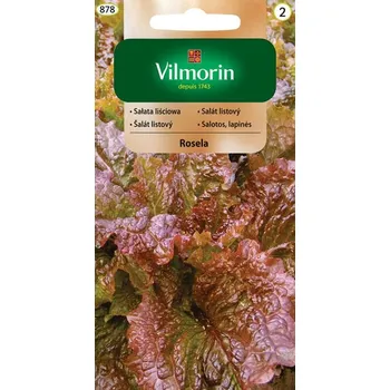 Semeno SALÁT LISTOVÝ - ROSELA / Lactuca sativa L.