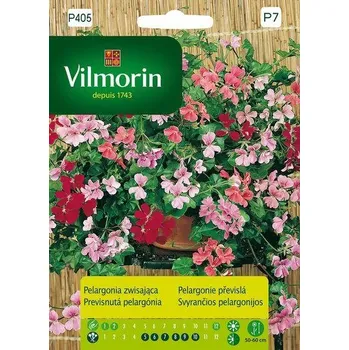 Semeno MUŠKÁT - PELARGÓNIE PŘEVISLÁ - SMĚS BAREV / Pelargonium peltatum (L.) L'Hér.