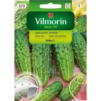 Semeno OKURKA NAKLÁDAČKA - DALILA F1 hruboostná VÝSEVNÁ PÁSKA / Cucumis sativus L.