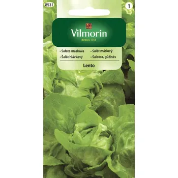 Semeno SALÁT HLÁVKOVÝ - LENTO celoroční / Lactuca sativa L.
