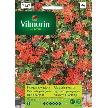 Semeno MUŠKÁT - PELARGÓNIE PŘEVISLÁ - ČERVENÝ / Pelargonium peltatum (L.) L'Hér.