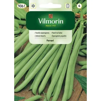 Semeno FAZOL KEŘÍČKOVÝ - FERRARI / Phaseolus vulgaris L.