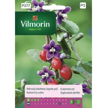 Semeno KUSTOVNICE CIZÍ - BORŮVKY GOJI / Lycium barbarum