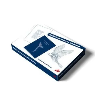 Zwölf Gehversuche im Beten - Schmid-Keiser, Stephan