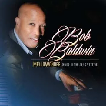 Zahraniční hudba 2LP Bob Baldwin: Mellowonder: Songs In The 2024