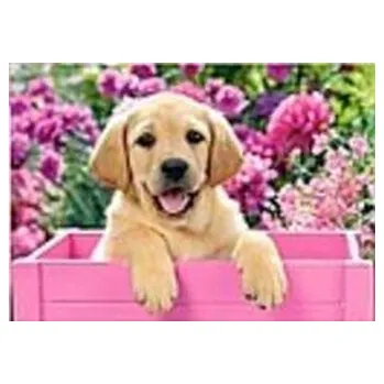 Set školních potřeb Mozaika diamentowa lablador 30x40cm