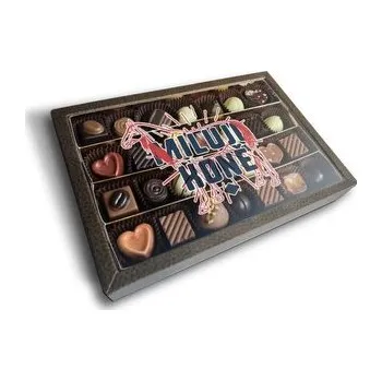 Bonboniéra Pralinky Miluji koně: 28 ks pralinek