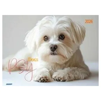 Kalendář Kalendarz 2026 ścienny albumowy 28,5x20cm Psy