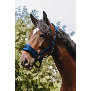 Ohlávka EQUITHEME 3D Mesh royal blue PONY