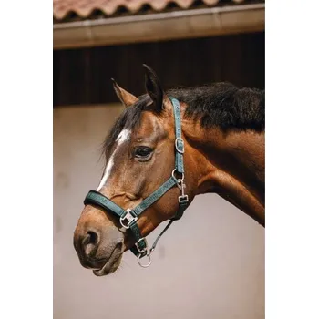 Ohlávka EQUITHEME Jacquard green COB