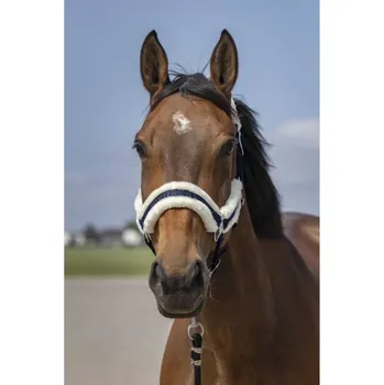 Ohlávka EQUITHEME Nylon Mouton blue/white SHETTY