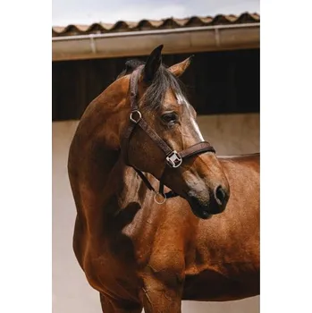 Ohlávka EQUITHEME Jacquard brown COB