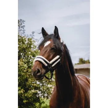 Ohlávka EQUITHEME Fashion black COB