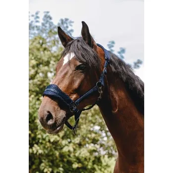 Ohlávka EQUITHEME 3D Mesh navy blue PONY