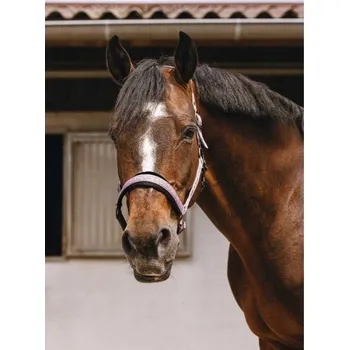 Ohlávka EQUITHEME Jacquard pink COB