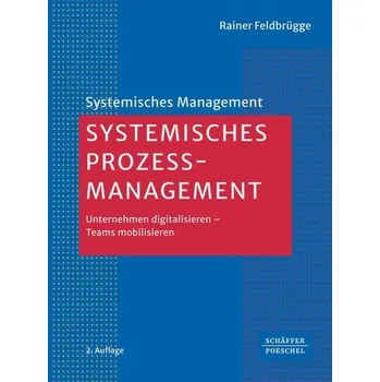 Systemisches Prozessmanagement - Feldbrügge, Rainer