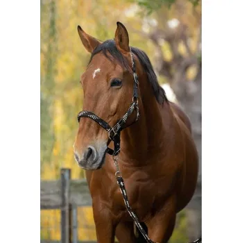 Vybavení pro koně Ohlávka s vodítkem NORTON Tressé beige/chocolate/black PONY