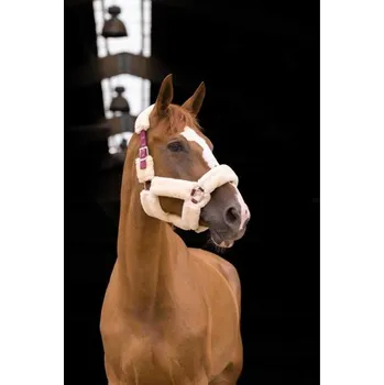 Ohlávka EQUITHEME Teddy burgundy/ecru FULL