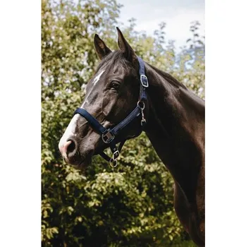 Bezpečnostní ohlávka EQUITHEME Protector černá PONY