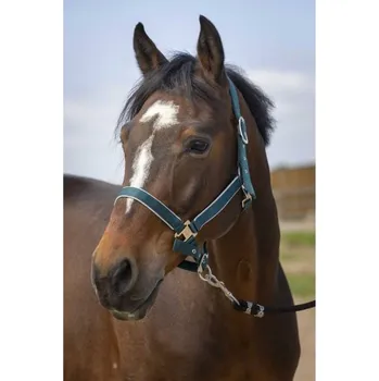 Ohlávka EQUITHEME Nylon Light dark green COB