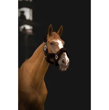 Ohlávka EQUITHEME Teddy navy blue/brown FULL