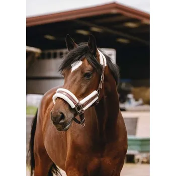 Ohlávka EQUITHEME Fashion brown FULL