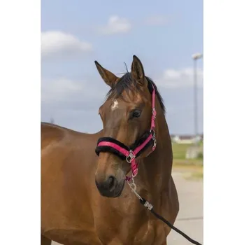 Ohlávka EQUITHEME Nylon Mouton pink/black COB