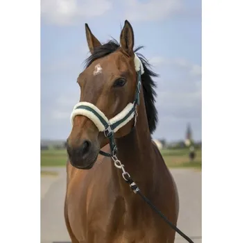 Ohlávka EQUITHEME Nylon Mouton green/white FULL