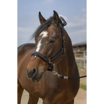 Ohlávka EQUITHEME Nylon Strass black COB