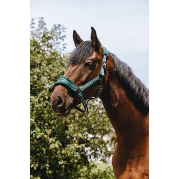 Ohlávka EQUITHEME 3D Mesh green SHETTY