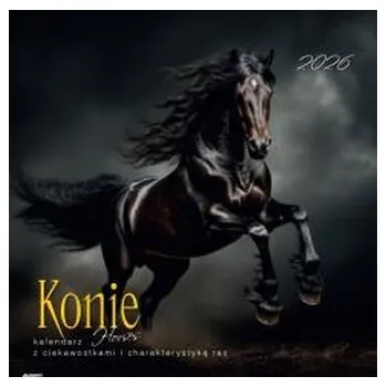 Kalendář Kalendarz 2026 ścienny albumowy 30x30cm Konie